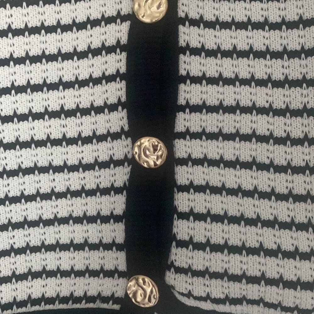 Zara Black and White Striped Sweatervest - Picture 4 of 4